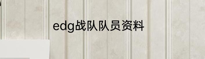 edg战队队员资料