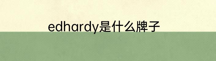 edhardy是什么牌子