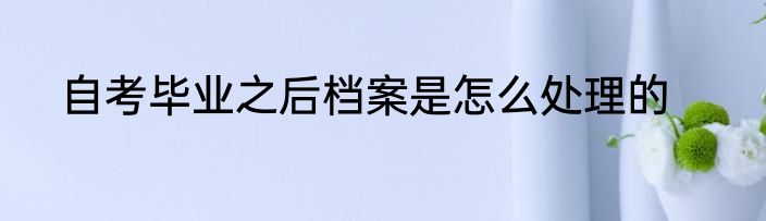 自考毕业之后档案是怎么处理的