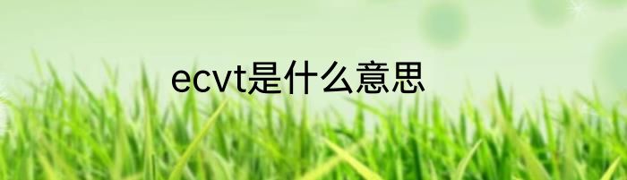 ecvt是什么意思