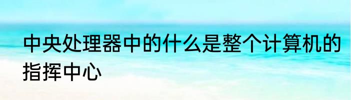 中央处理器中的什么是整个计算机的指挥中心