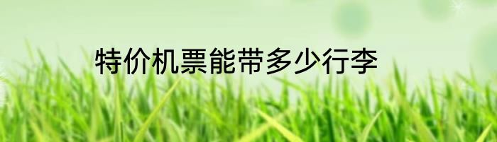 特价机票能带多少行李