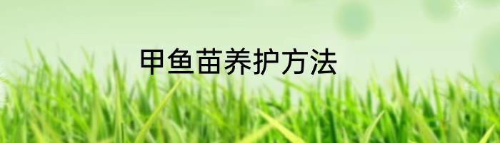 甲鱼苗养护方法
