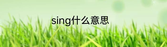 sing什么意思
