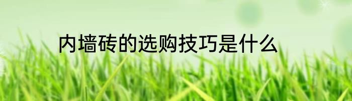 内墙砖的选购技巧是什么