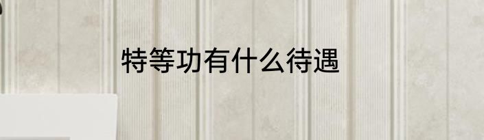 特等功有什么待遇