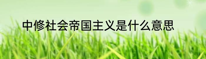中修社会帝国主义是什么意思