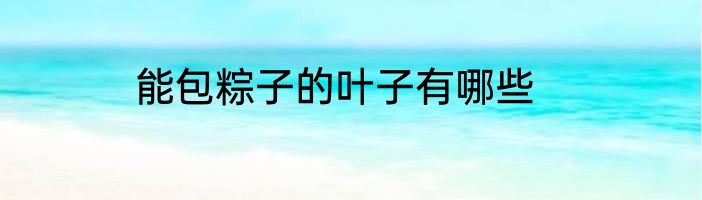 能包粽子的叶子有哪些