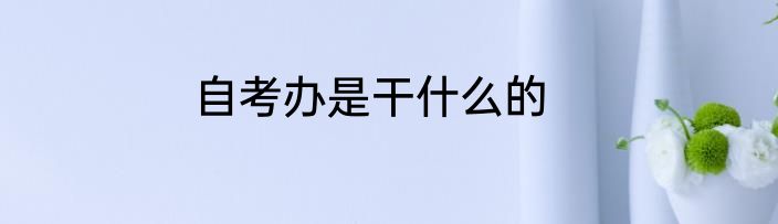 自考办是干什么的