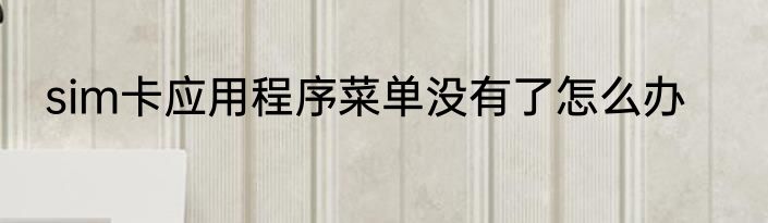 sim卡应用程序菜单没有了怎么办
