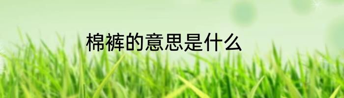 棉裤的意思是什么