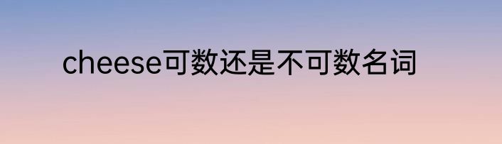 cheese可数还是不可数名词