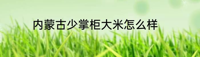 内蒙古少掌柜大米怎么样