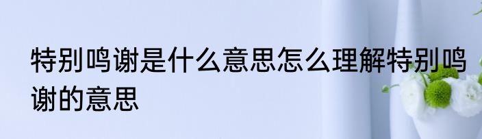 特别鸣谢是什么意思怎么理解特别鸣谢的意思
