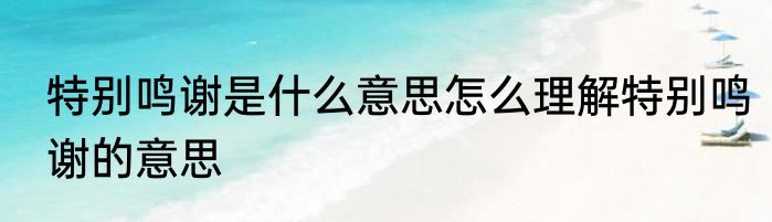 特别鸣谢是什么意思怎么理解特别鸣谢的意思
