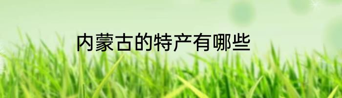 内蒙古的特产有哪些