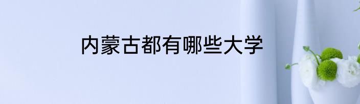 内蒙古都有哪些大学