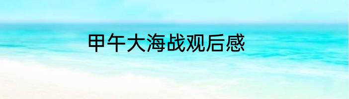甲午大海战观后感