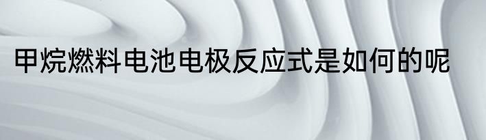 甲烷燃料电池电极反应式是如何的呢