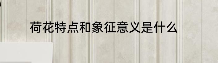 荷花特点和象征意义是什么