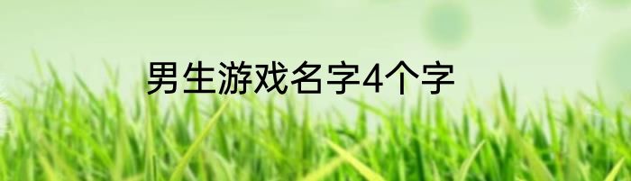 男生游戏名字4个字