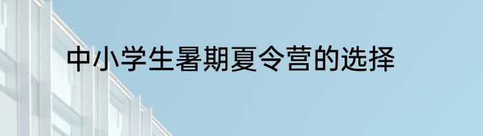 中小学生暑期夏令营的选择