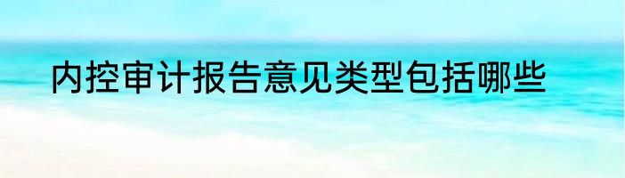 内控审计报告意见类型包括哪些