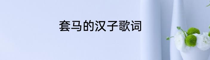 套马的汉子歌词