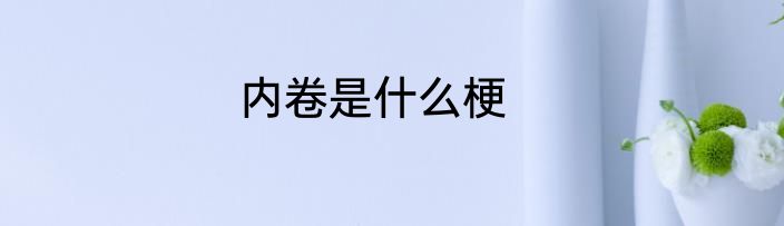 内卷是什么梗