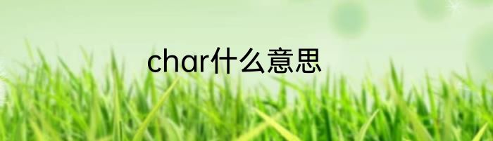 char什么意思