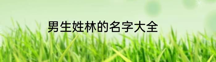 男生姓林的名字大全
