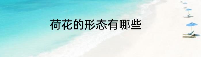 荷花的形态有哪些