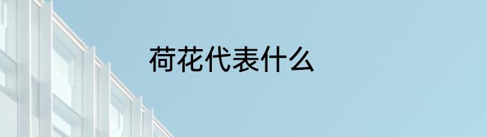 荷花代表什么