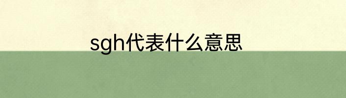 sgh代表什么意思