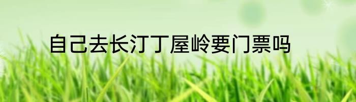 自己去长汀丁屋岭要门票吗
