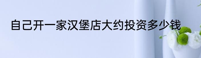 自己开一家汉堡店大约投资多少钱
