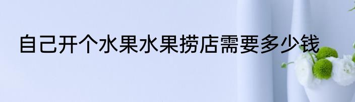 自己开个水果水果捞店需要多少钱