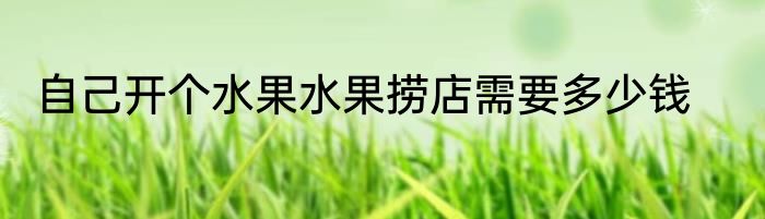 自己开个水果水果捞店需要多少钱
