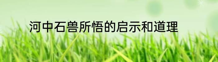 河中石兽所悟的启示和道理