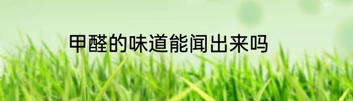 甲醛的味道能闻出来吗