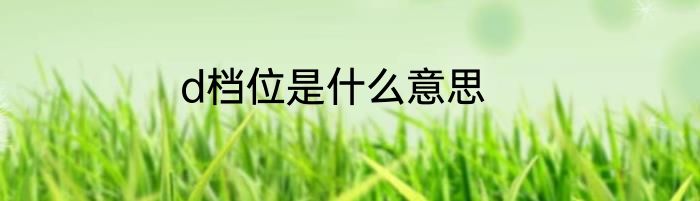 d档位是什么意思