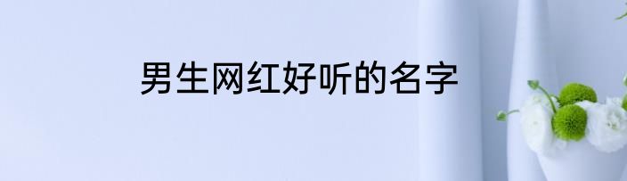 男生网红好听的名字