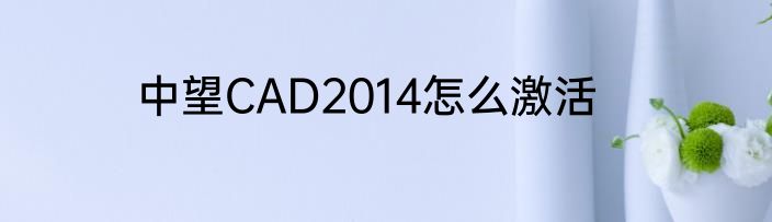 中望CAD2014怎么激活