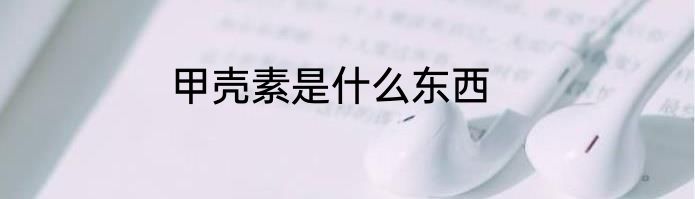 甲壳素是什么东西