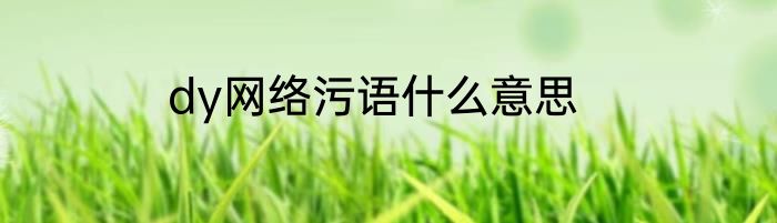 dy网络污语什么意思