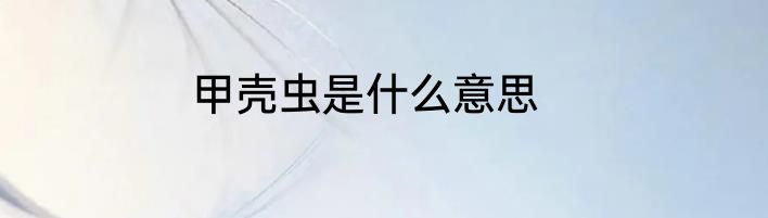 甲壳虫是什么意思