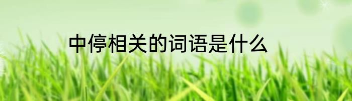 中停相关的词语是什么