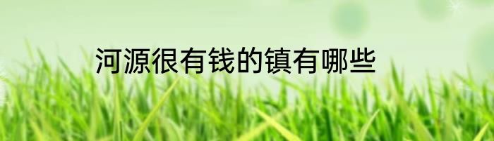 河源很有钱的镇有哪些