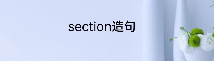 section造句
