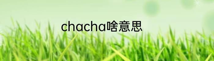 chacha啥意思